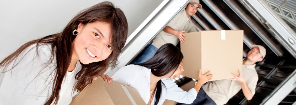 Professional Removalists Exford